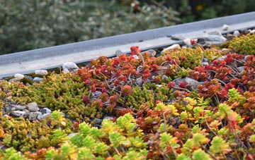 the cost of Lower Mill green roof installation