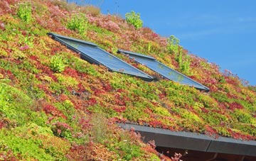 Lower Mill living roof systems
